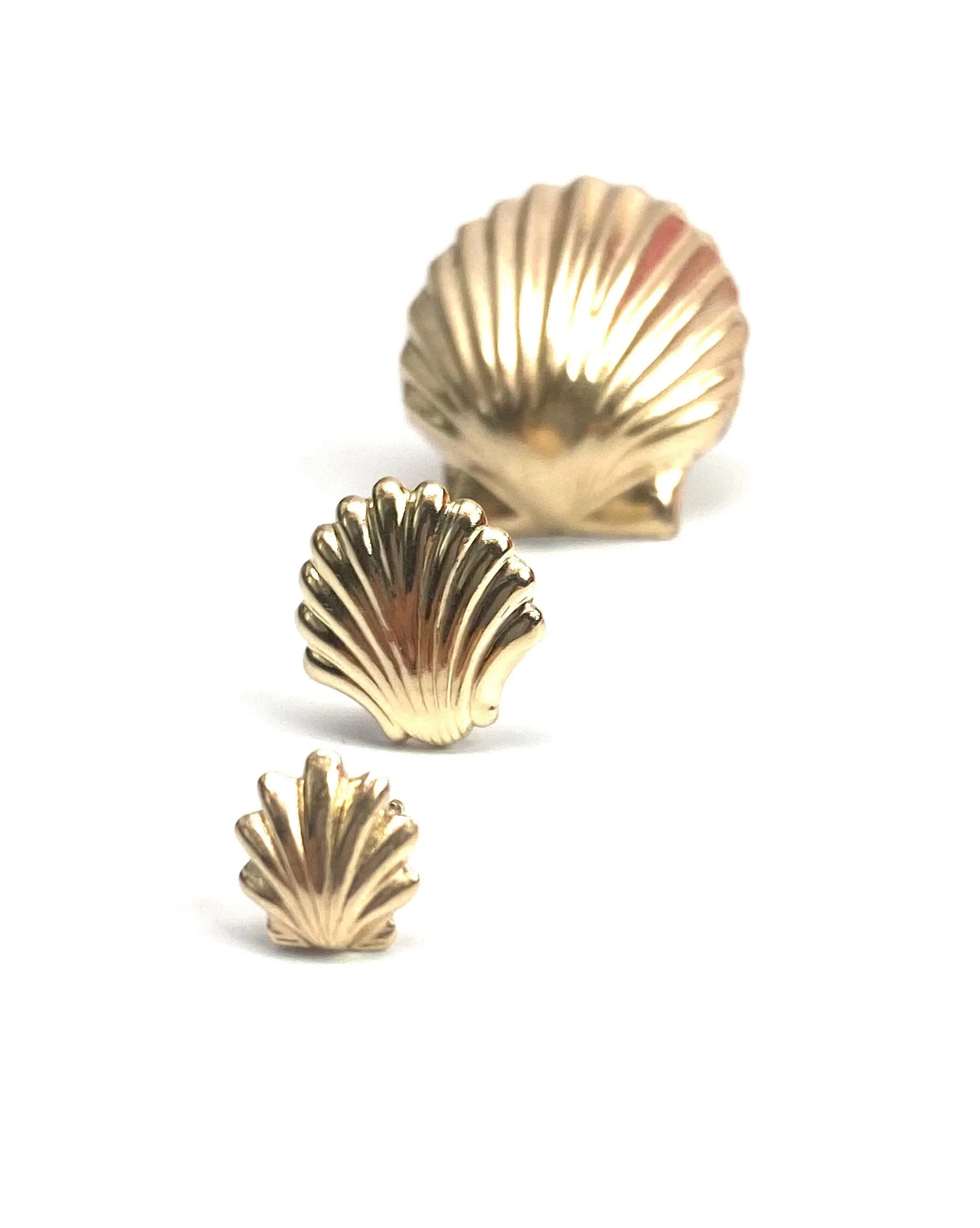 14KGF SeaShells studs, 14K Gold Filled, 14K Gold Fill, 14K Gold