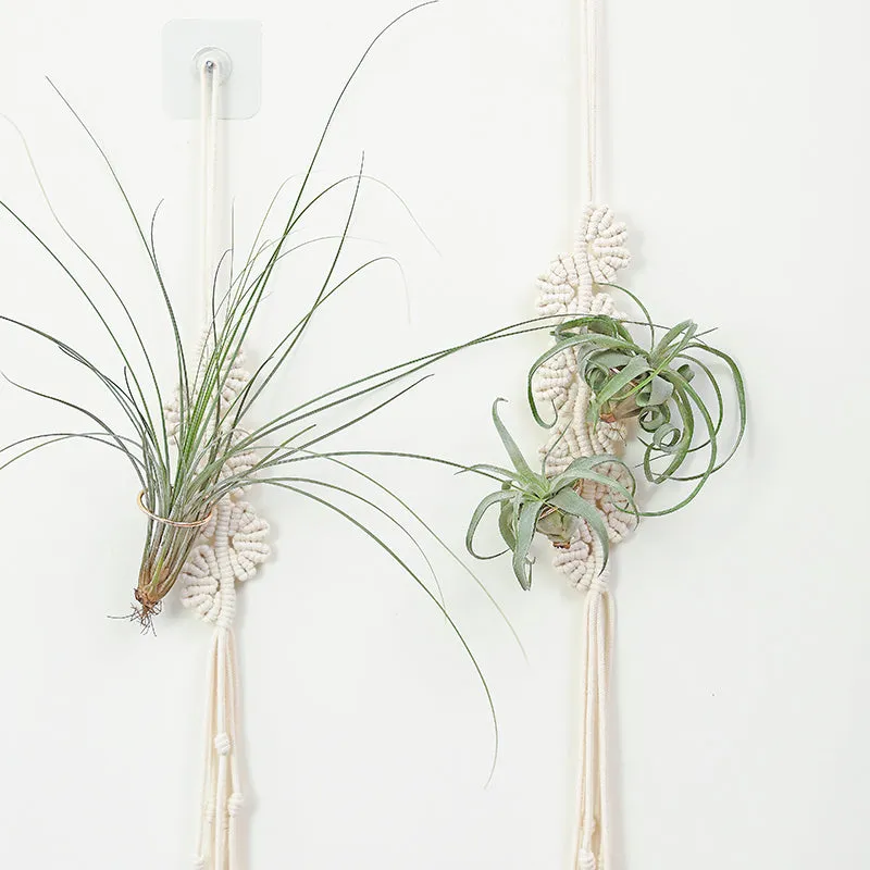 3MM MACRAME BRAIDED - CORED - NATURAL
