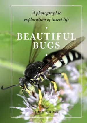 Beautiful Bugs