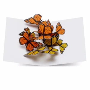 Beautiful Butterflies Pop-up Card