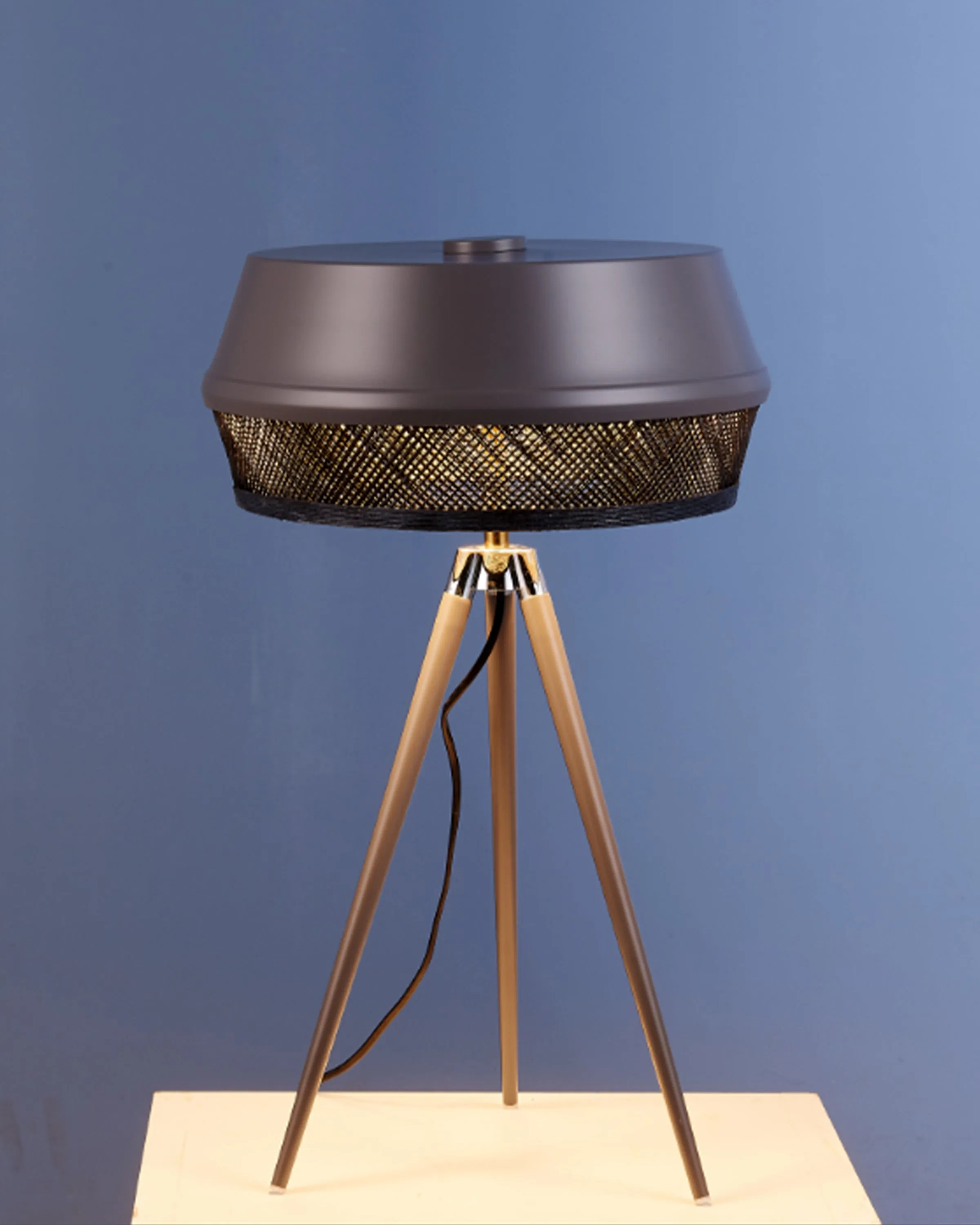 Beautiful Modern Alejandro Standing Lamp