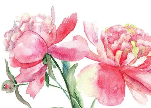 Blank Card - Galleria Beautiful Peony