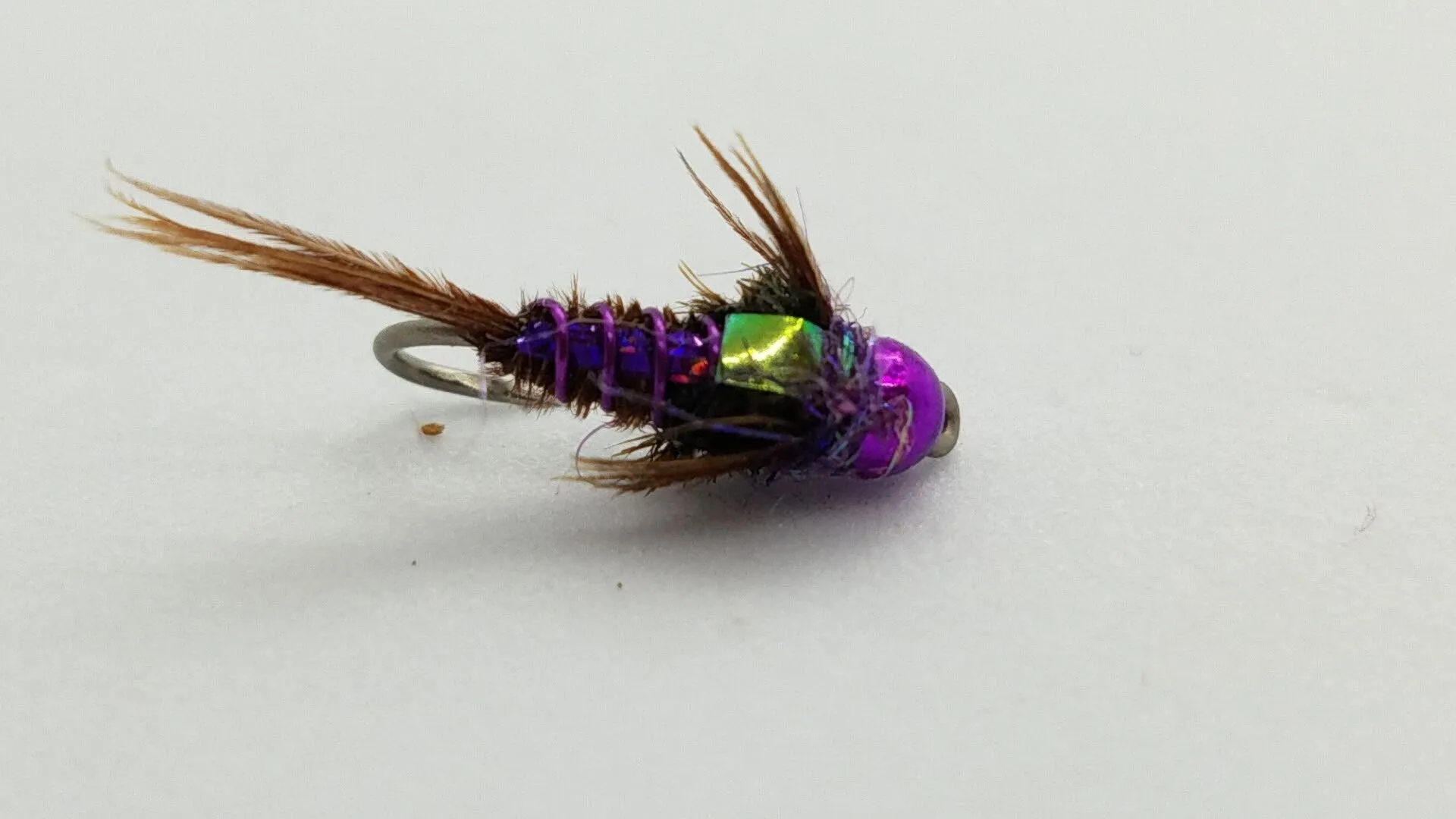 Brillion’s Lucent Pheasant Tail