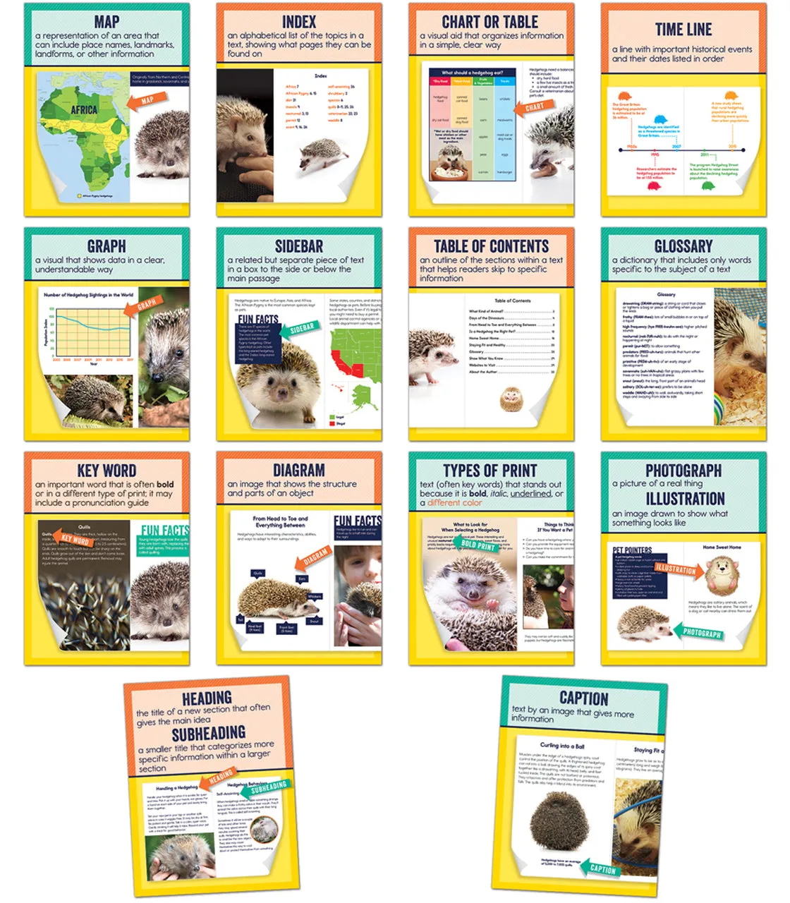 Carson Dellosa Mini Posters: Nonfiction Text Features Poster Set Grade 1-6 (CD 106011)