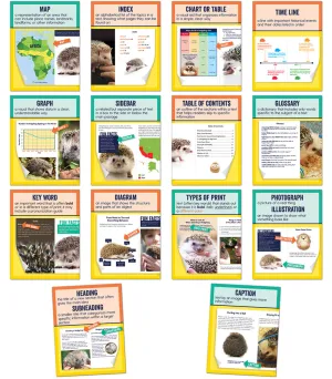 Carson Dellosa Mini Posters: Nonfiction Text Features Poster Set Grade 1-6 (CD 106011)