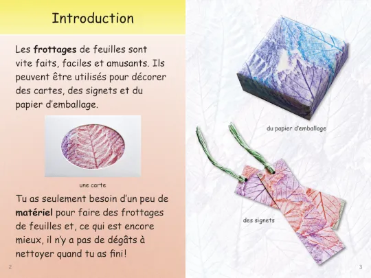 Collection Lecteurs forts - B: Les frottages de feuilles (N15)