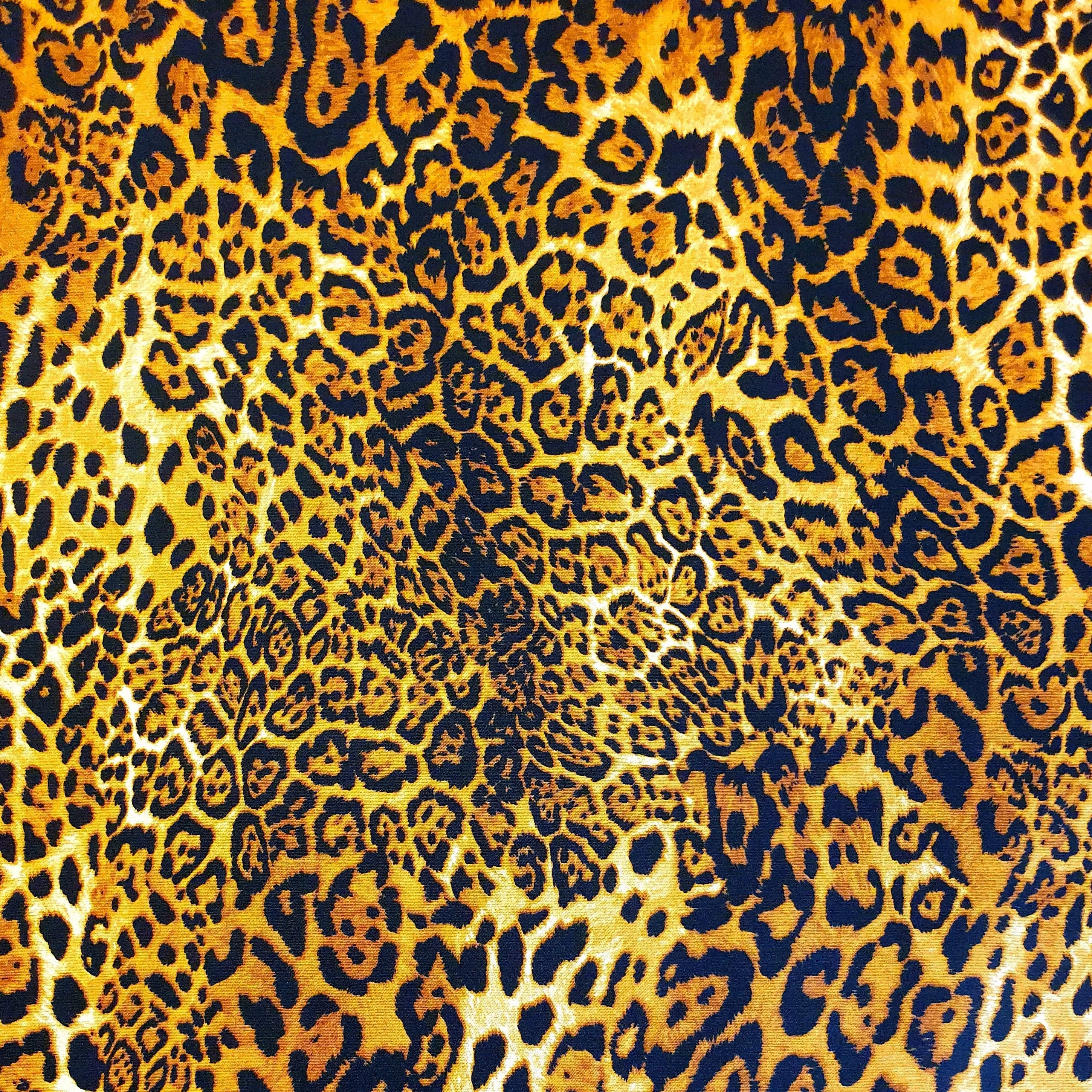 Cotton Poplin Print - Leopard