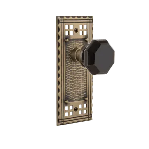 Craftsman Long Plate with Black Waldorf Knob in Antique Brass
