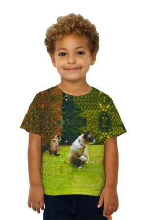 Kids Friendly Cat