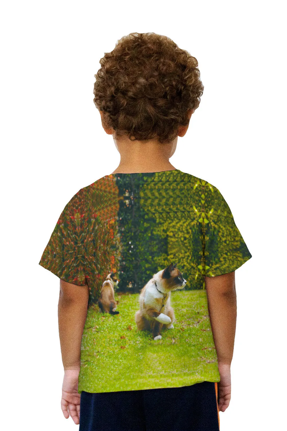Kids Friendly Cat