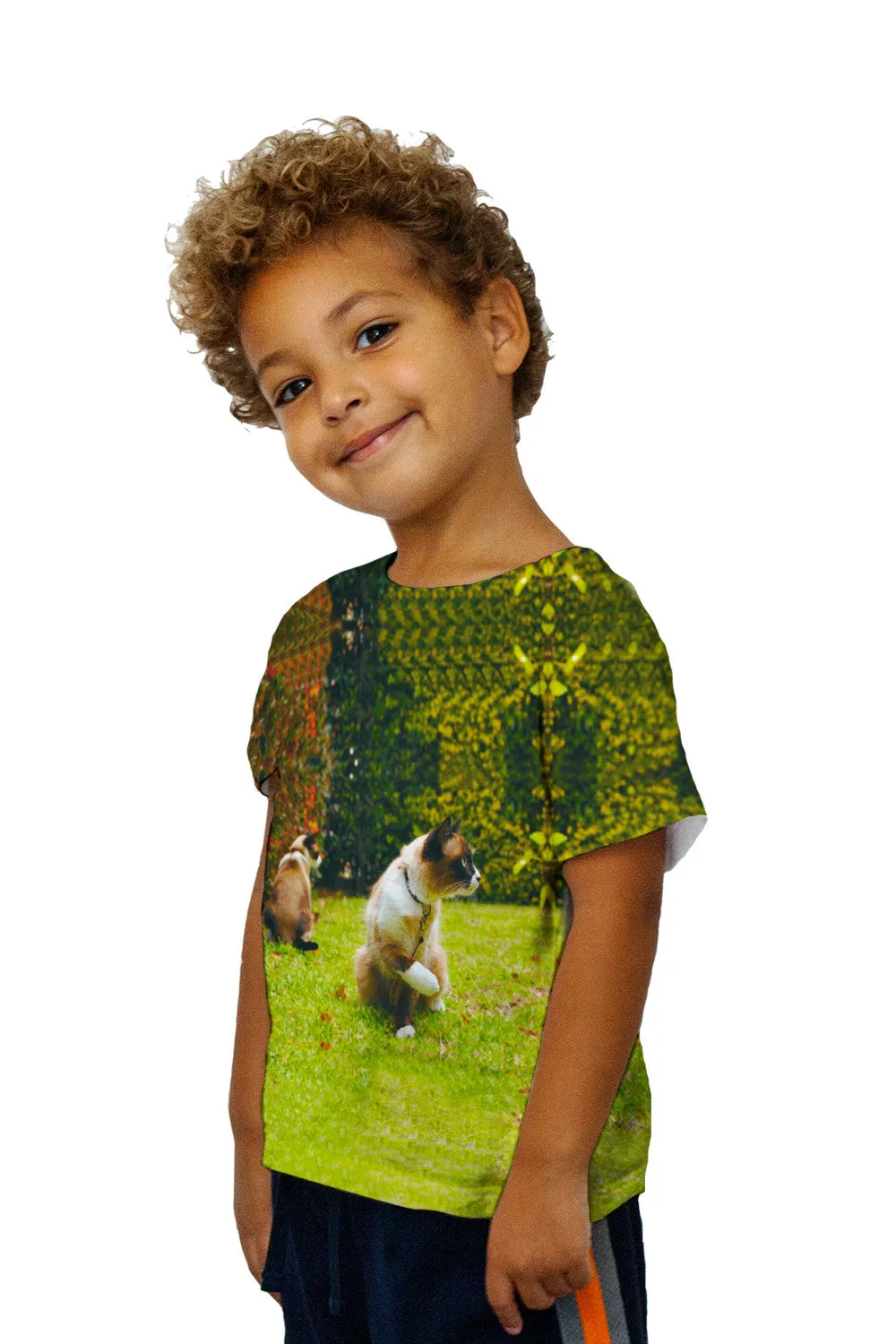 Kids Friendly Cat
