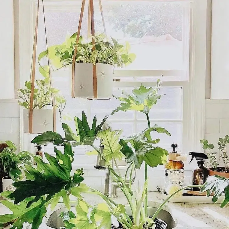 Macrame Flower Pot Hanger