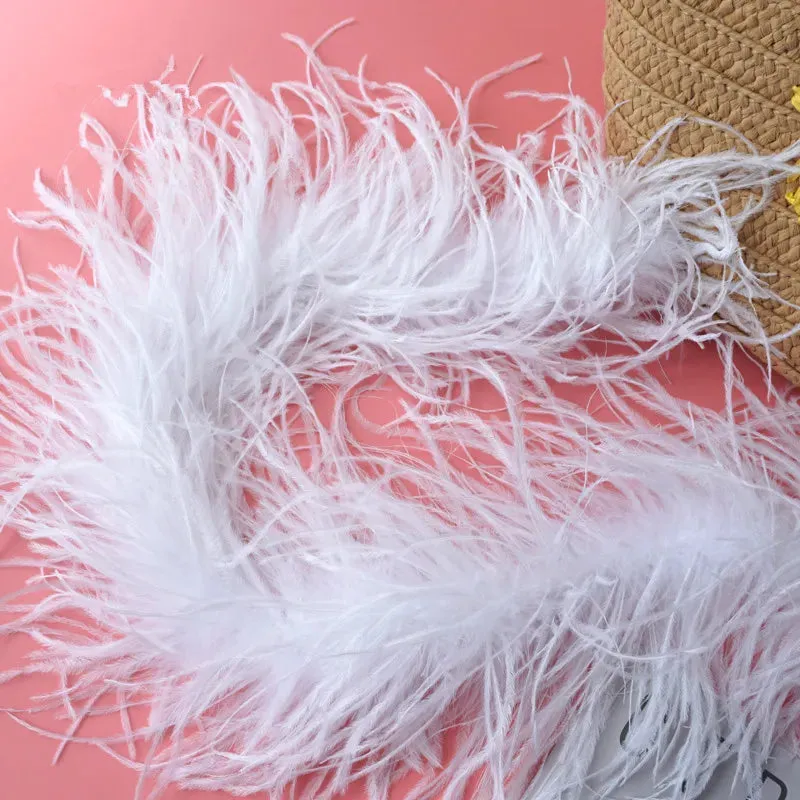Ostrich Feather Fur Clear Acrylic Crystal Tote
