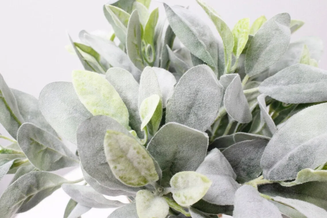 Pack of 10- Lambs Ear Stem-flocked 2 shades of green-thick and soft touch finish