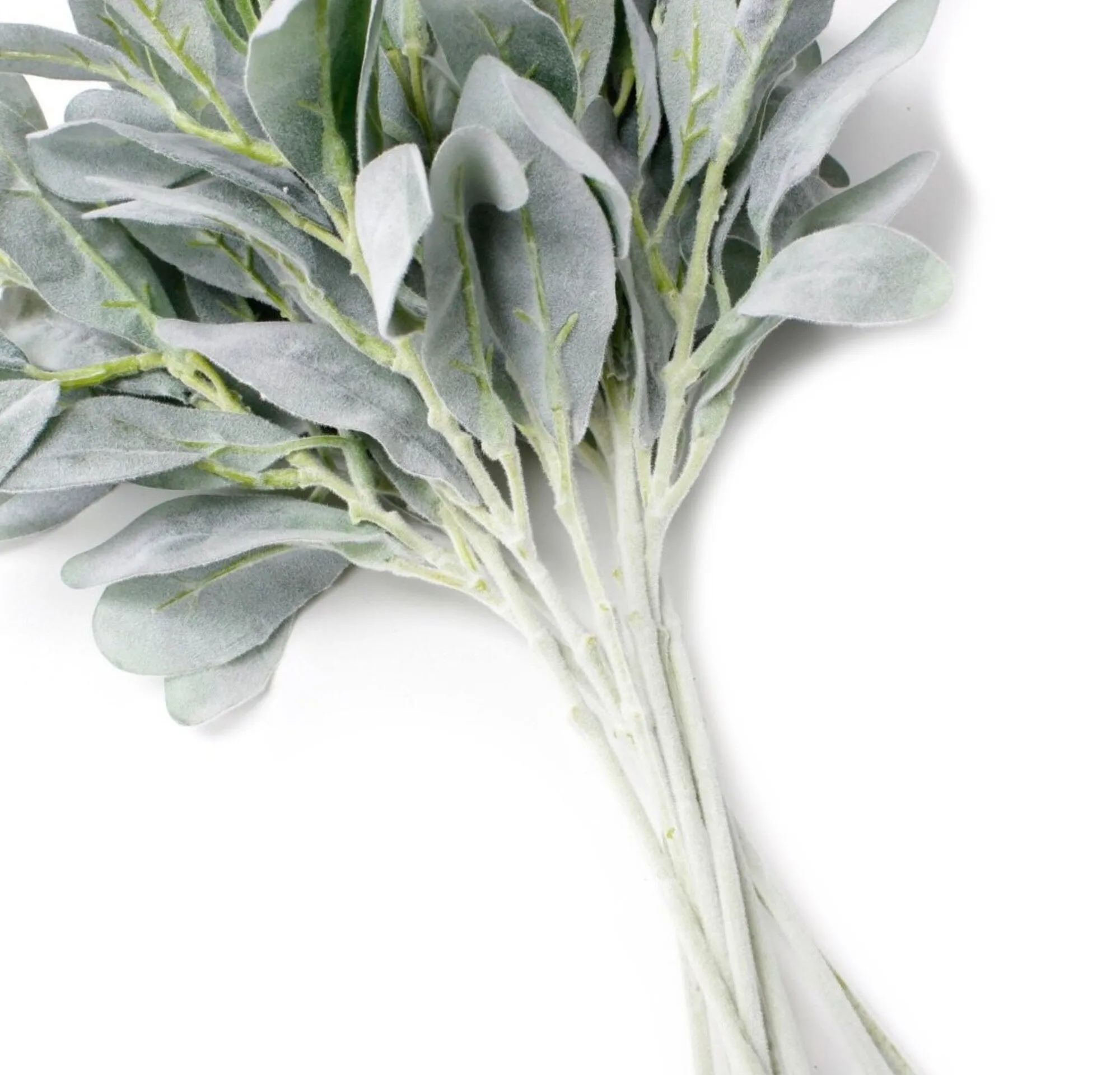 Pack of 10- Lambs Ear Stem-flocked 2 shades of green-thick and soft touch finish