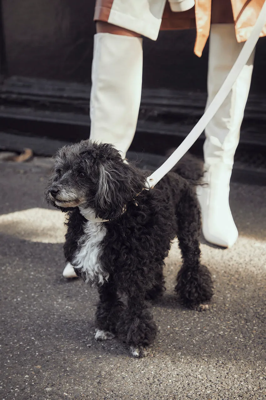 Signature Circle Dog Lead - Cream