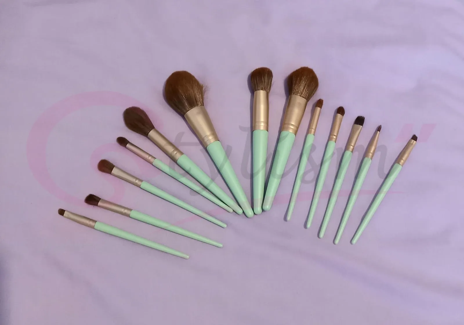 Spring Green Brush Set (13 piece brush collection with bag)
