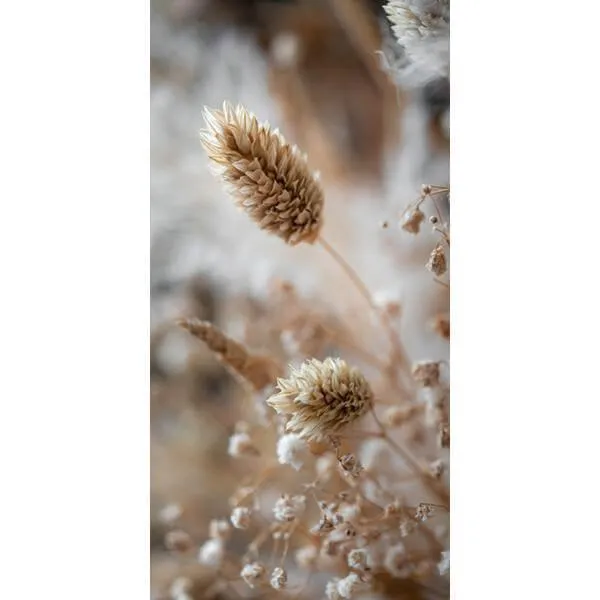 Tablecloth - Beautiful Dried Flowers