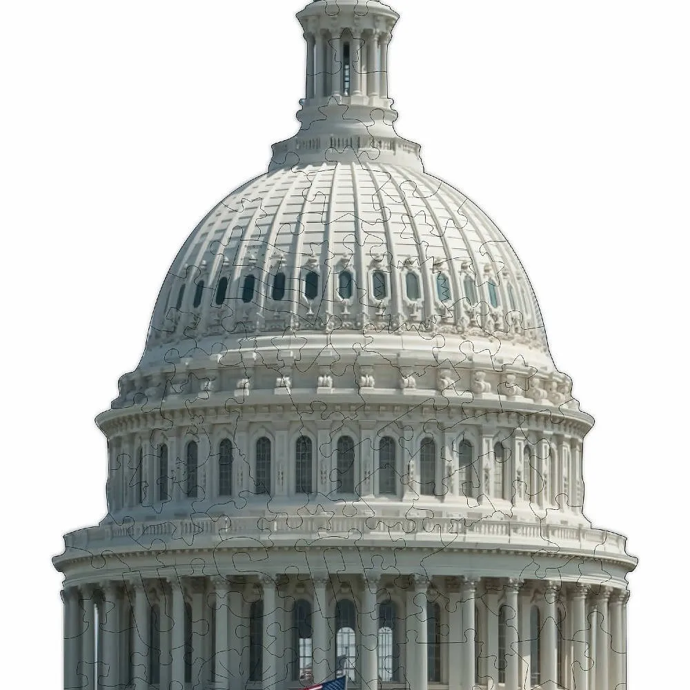 Whimsical U.S Capitol Puzzle