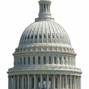 Whimsical U.S Capitol Puzzle